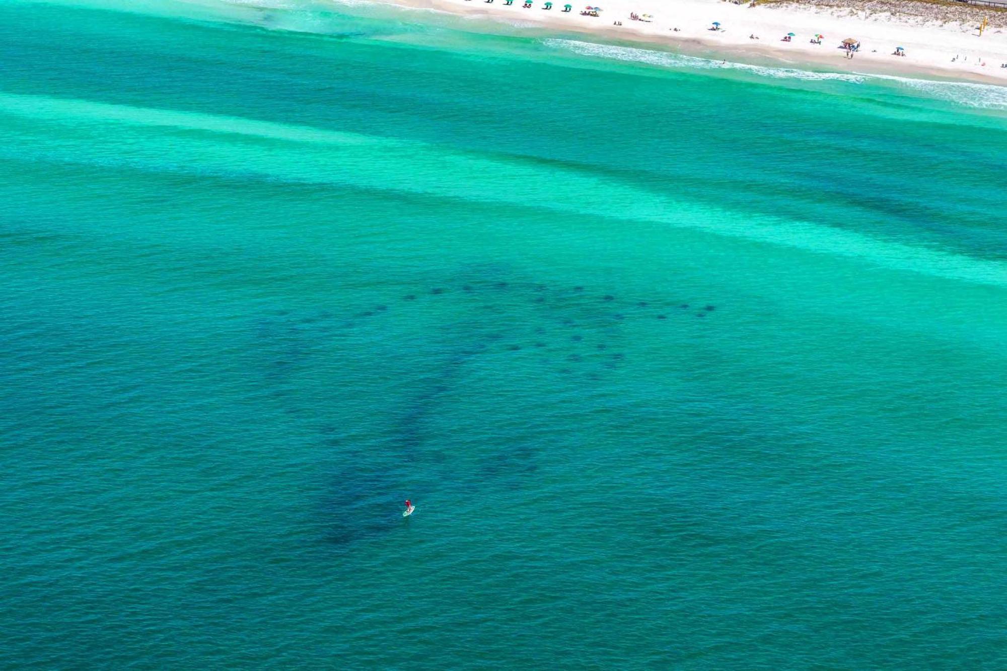 Shore Enough Destin Dış mekan fotoğraf